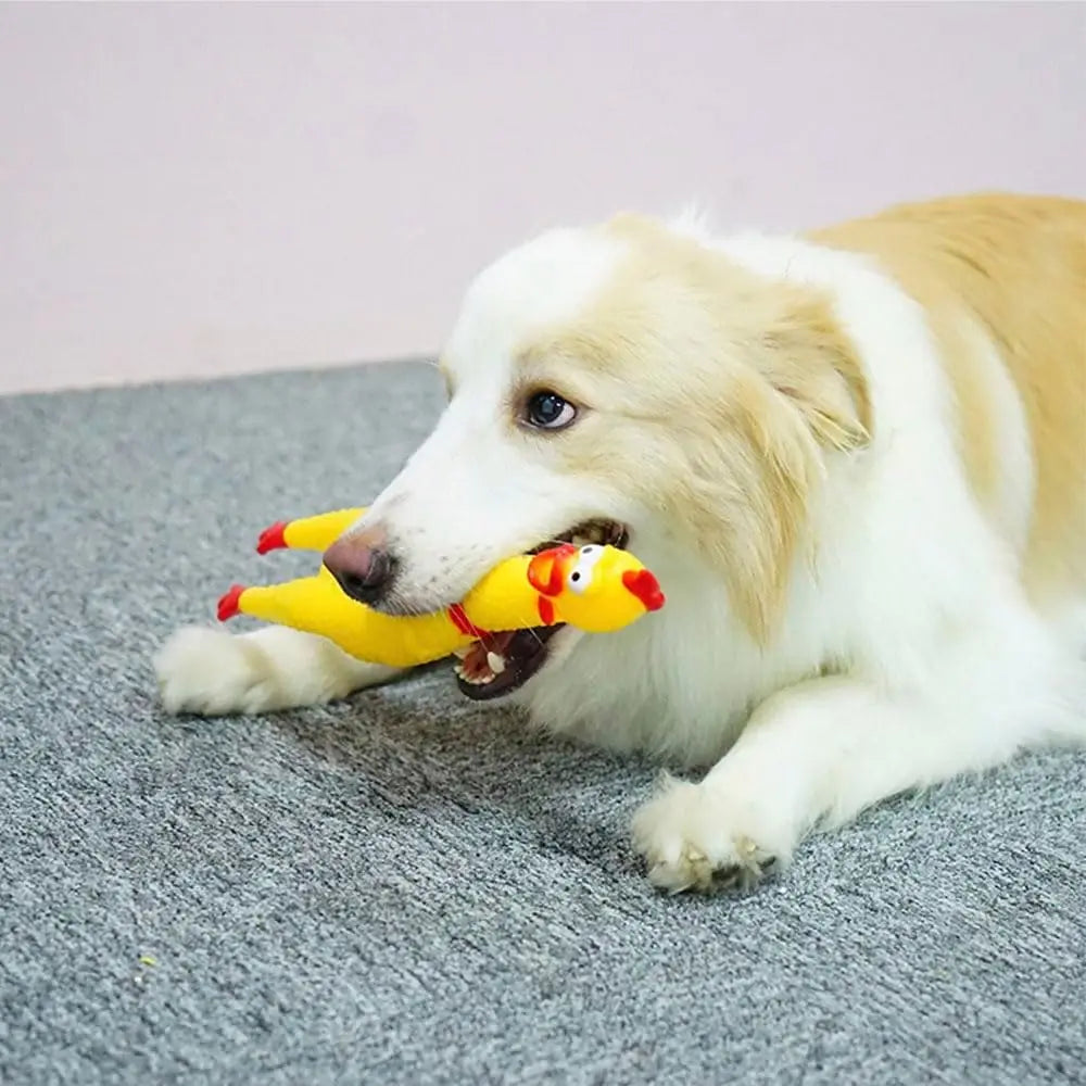 Frango de Borracha com Apito para Cães