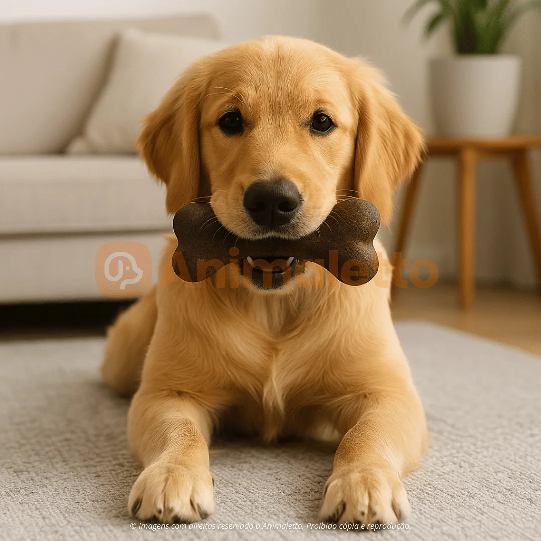 Brinquedo de Frango com Apito para Cães Médios e Grandes