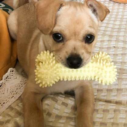 Brinquedo Mordedor TPR para Cães
