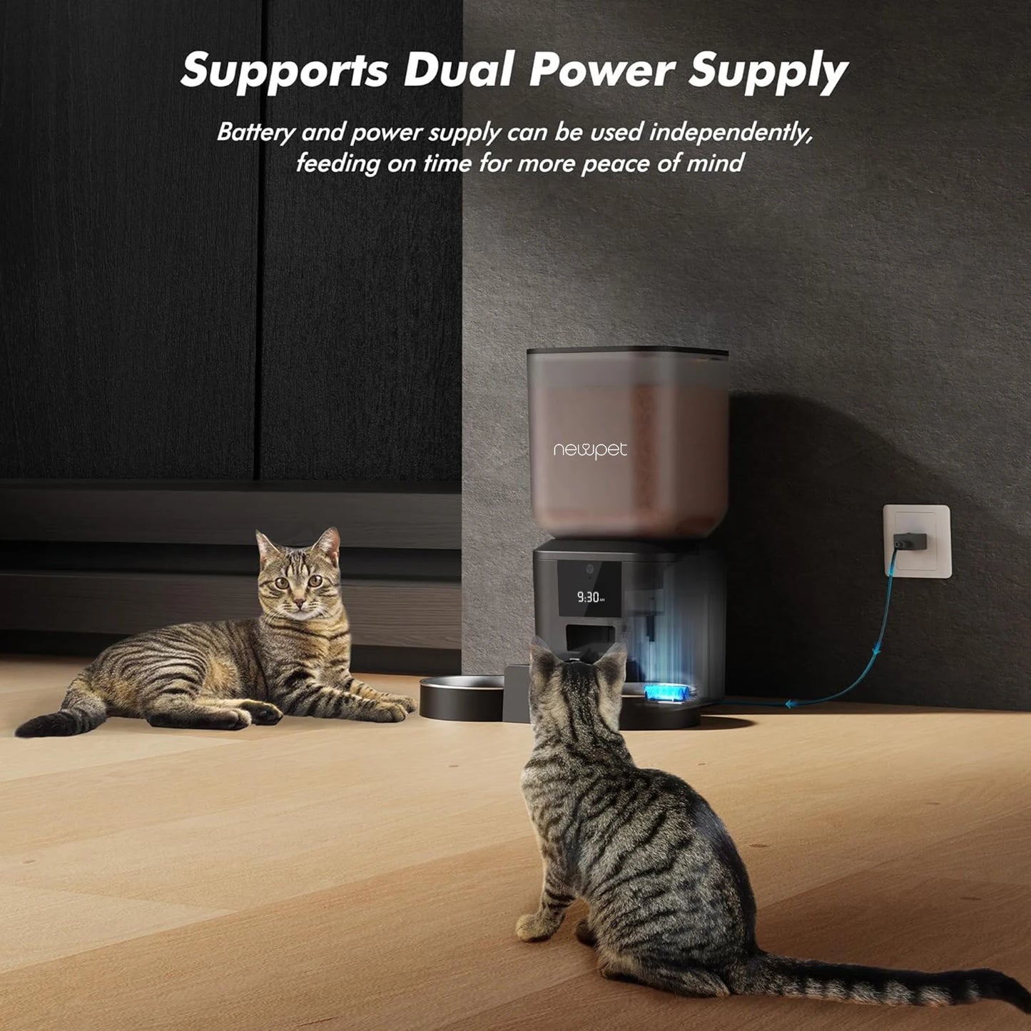 Alimentador Automático para Cães e Gatos