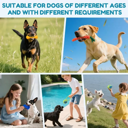 Kit 10 Brinquedos para Filhotes – Anti-Estresse e Limpeza Dental