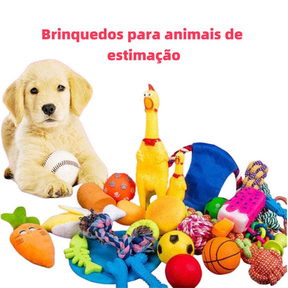 Kit 10 Brinquedos para Filhotes – Anti-Estresse e Limpeza Dental