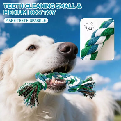 Kit 10 Brinquedos para Filhotes – Anti-Estresse e Limpeza Dental