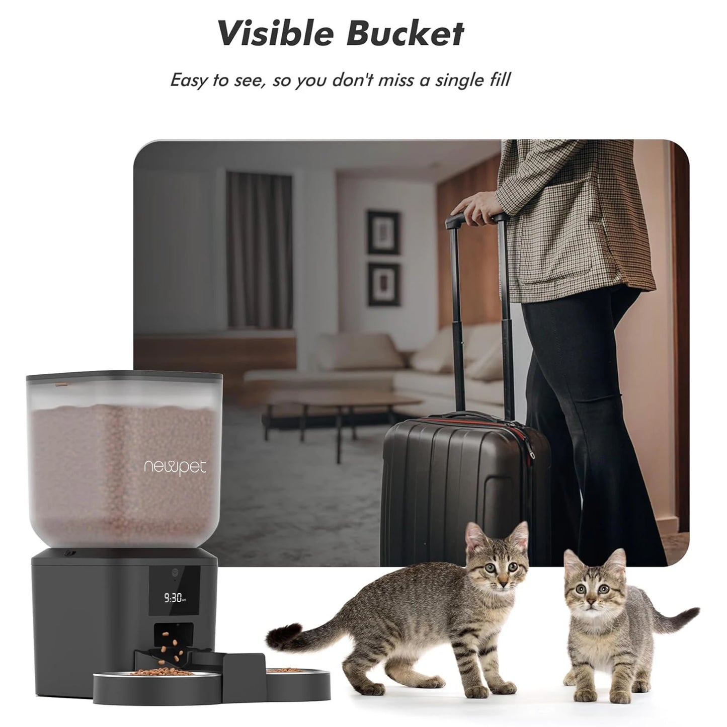 Alimentador Automático para Cães e Gatos